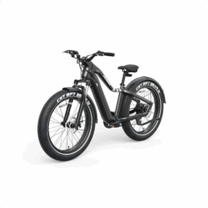 OKAI Electric Bike Ranger EB50